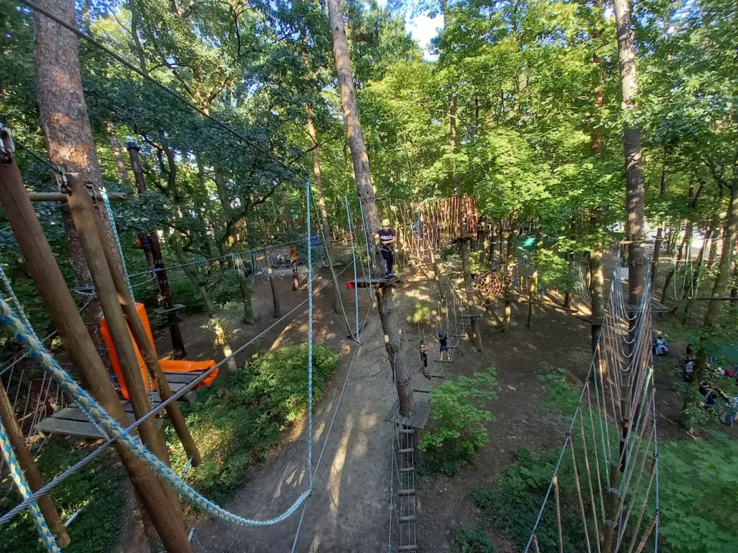 Tarzania Park Linowy